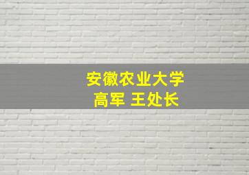 安徽农业大学 高军 王处长